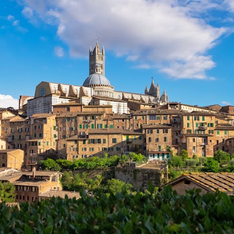 Spend a day exploring Siena – it's 44km away