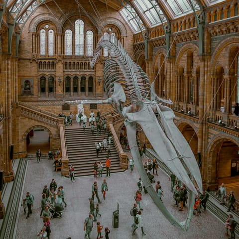 Check out the exhibits at the Natural History Museum – it's a short walk