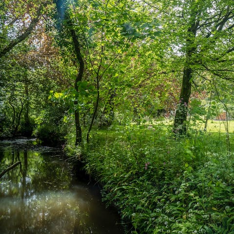 Discover the river at the bottom of the garden 