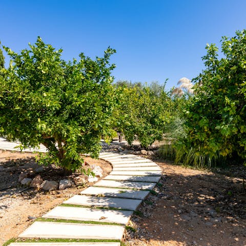 Wander through the pretty gardens with mountain views