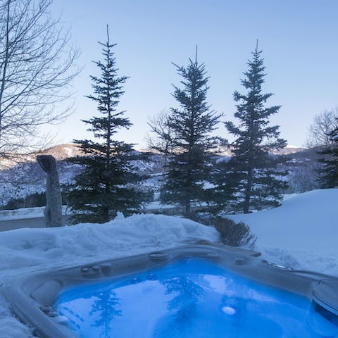 Relax surrounded by nature in the private hot tub 