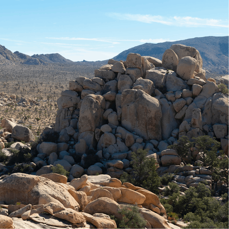 Drive to Joshua Tree National Park in just forty-five minutes