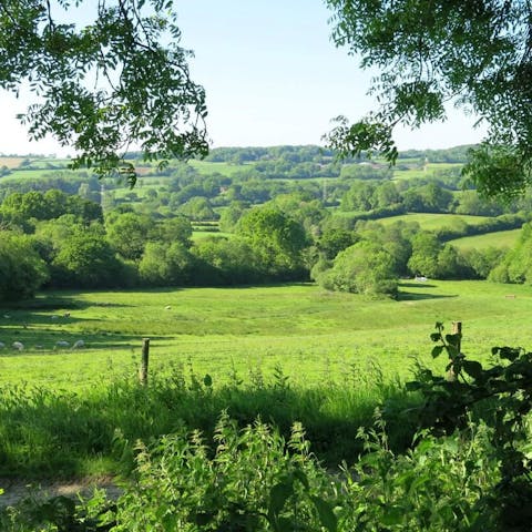 Go for a long walk and breathe in a lungful of fresh country air in the Dorset AONB