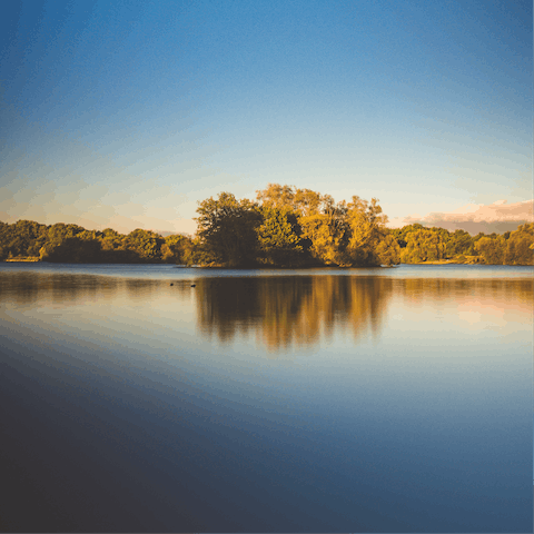 Visit the incredible Sussex countryside, with miles of fields and forests to explore