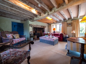 Tudor Dreams image 1