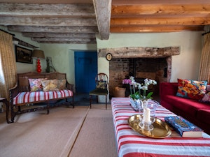 Tudor Dreams image 15