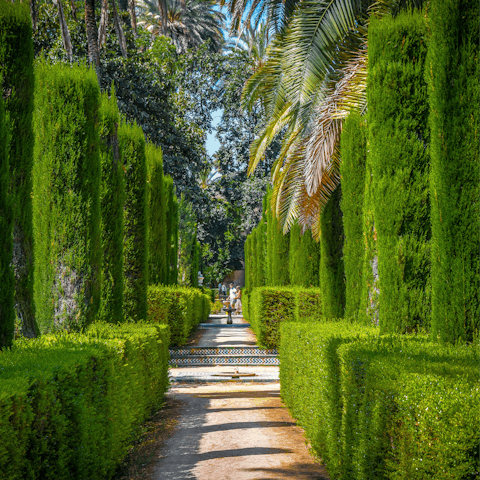 Take a turn around the beautiful gardens of Alcazar of Seville, just a twenty-seven-minute bus ride away