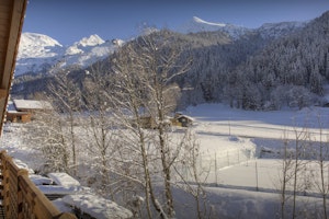 Cozy in the Alps image 8