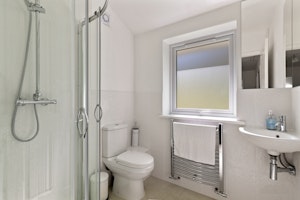 White Walian image 9
