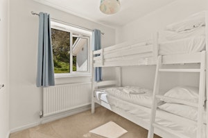 White Walian image 8