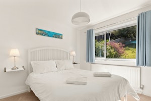 White Walian image 6