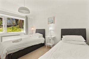 White Walian image 3