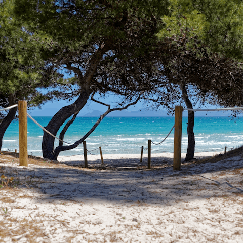 Visit some gorgeous beaches on the coast of Mal Pas-Bon Aire and beyond
