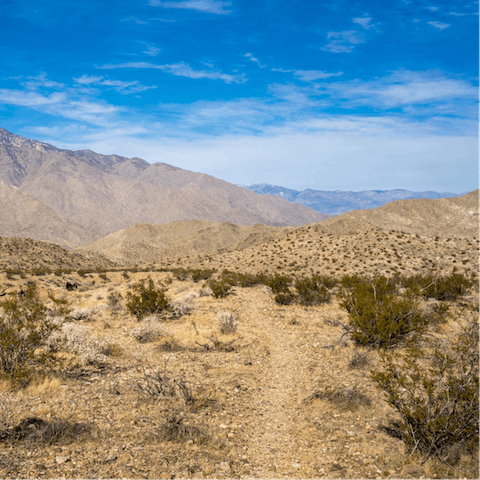 Hike at Indian Canyons – it's a twenty-six-minute drive