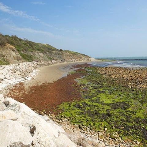 Go rock pooling at Castlehaven Village Green and Beach