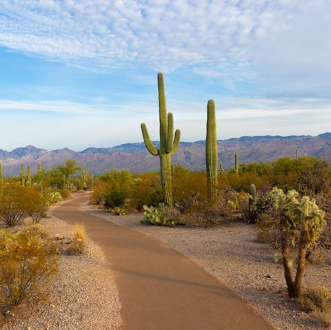 Drive fifteen minutes to the Echo Canyon trailhead
