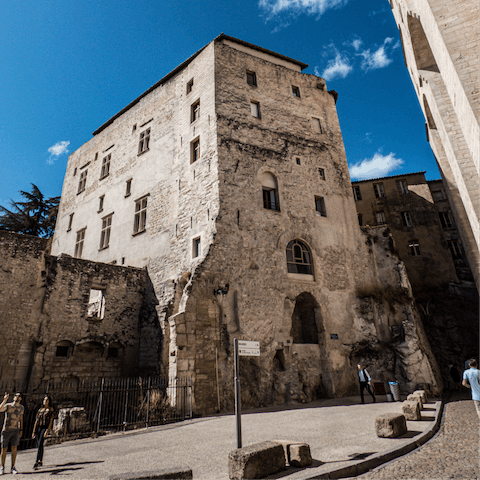 Visit the historic city of Avignon, only half an hour away by car