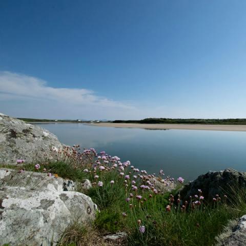Stroll along the Cymyran Straits that separate Anglesey from the Holy Island, Ynys Cybi
