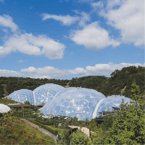 Experience the stunning beauty of The Eden Project, just a short drive from your doorstep