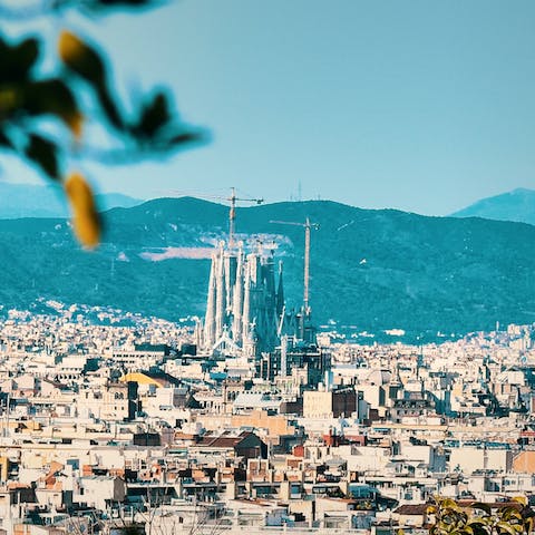 Experience the beauty of Barcelona from the heart of the city