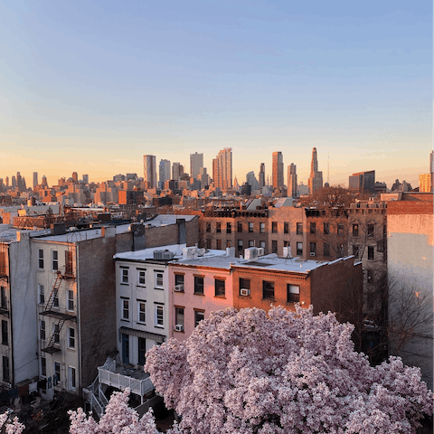 Explore Brooklyn from your peaceful base in Carroll Gardens
