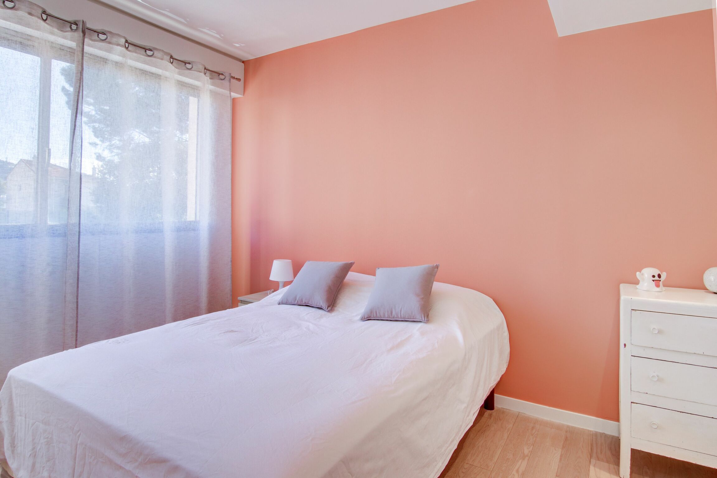 Red Carpet to Cannes