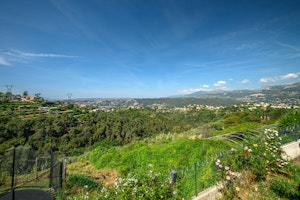 Hillside Vistas image 10