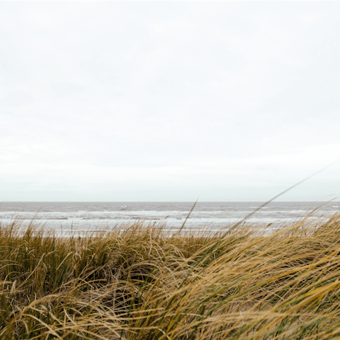 Take a five-minute drive over to Vrouwenpolder Beach for a day on the sand