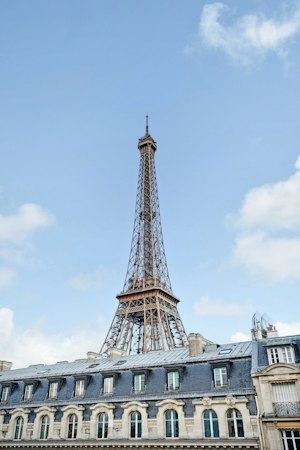 Eiffel Tower Eyeline image 14