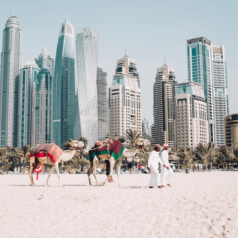 Explore all the nooks and crannies of Dubai, a city of endless fun