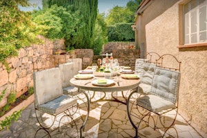 The Mulberry Tree image 14