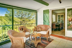 The Mulberry Tree image 7