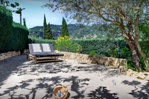 The Mulberry Tree image 2