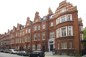 The Dame Of Chelsea image 7