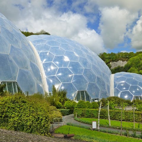 Spend a memorable day at the Eden Project, a ten-minute drive away