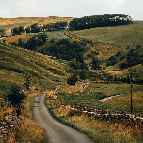 Take a drive through the North York Moors National Park, right on your doorstep