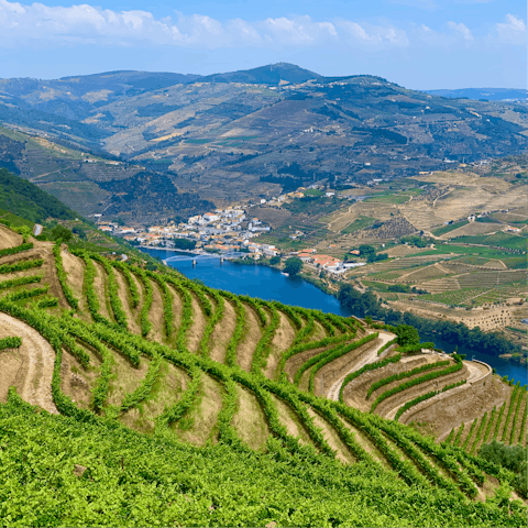 Cruise upriver into the Douro Valley, making stops to sample wine and olive oil along the route
