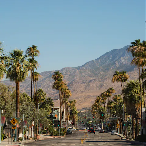 Step straight out onto North Palm Canyon Drive for restaurants, galleries and a couple of antique shops