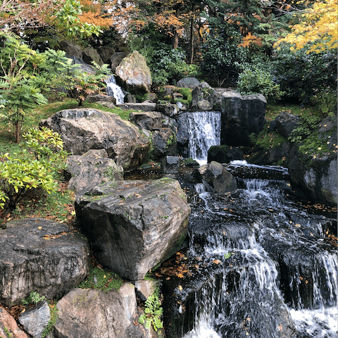 Spend a morning exploring the Kyoto Gardens in Holland Park
