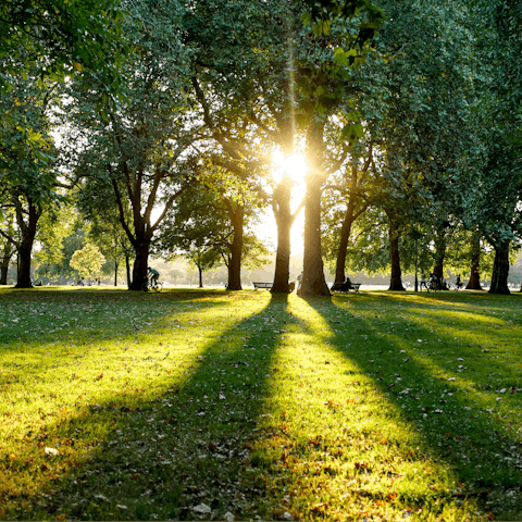 Take an afternoon stroll through Hyde Park, a twelve-minute stroll from your door