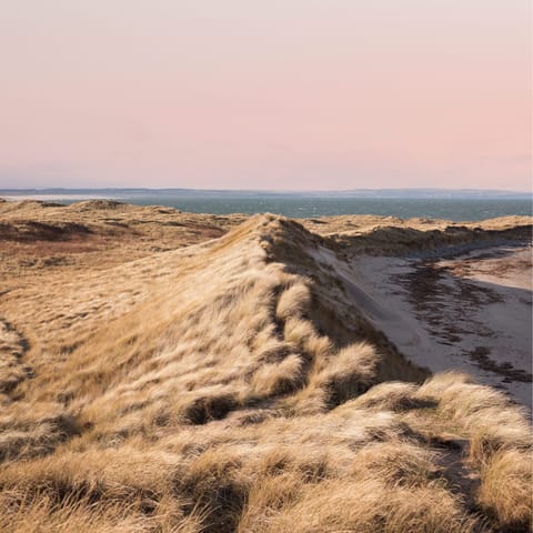 Explore the windswept beaches and dunes that line the Northumberland coastline