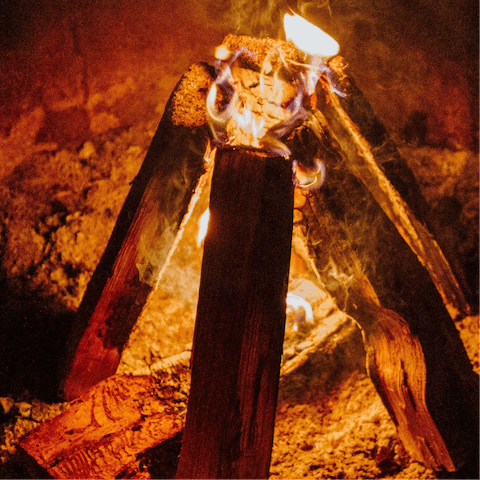 Arrange a day of bushcraft activities in the forest