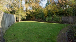 Otters’ Wood image 3
