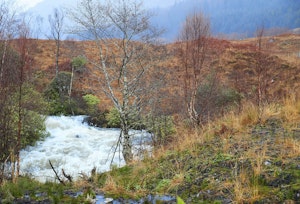 Highland Harmony image 3