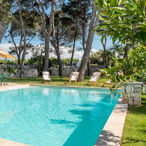 Feel refreshed after a lovely midday dip in the outdoor private pool