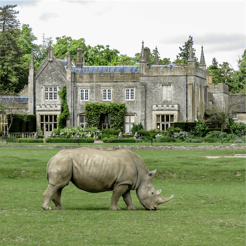 Visit the Cotswold Wildlife Park and Gardens