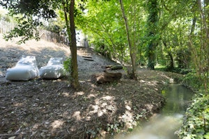 The Harmony of Nature image 14