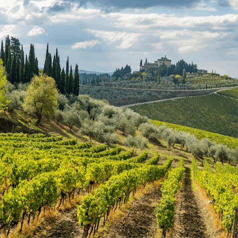 Explore Chianti's charming market towns by car