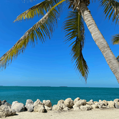 Visit the stunning beaches of Key West, close to your home, with palm trees and blue seas