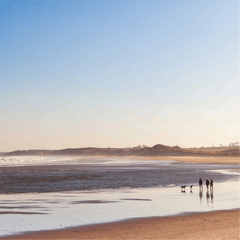 Enjoy long walks along deserted low-season beaches with your pet pooch